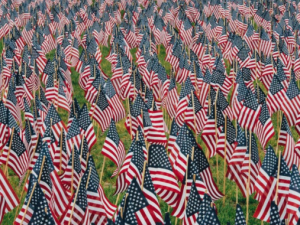 2017-05-28 14_01_32-Red and Blue Usa Flags · Free Stock Photo