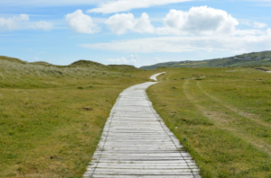 2018-02-25 22_58_51-Free stock photos of pathway · Pexels